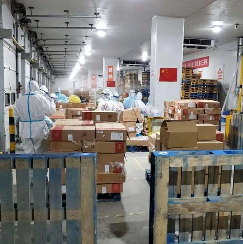 刻不容缓 明德生物进口冷链食品新冠病毒核酸检测一站式解决方案